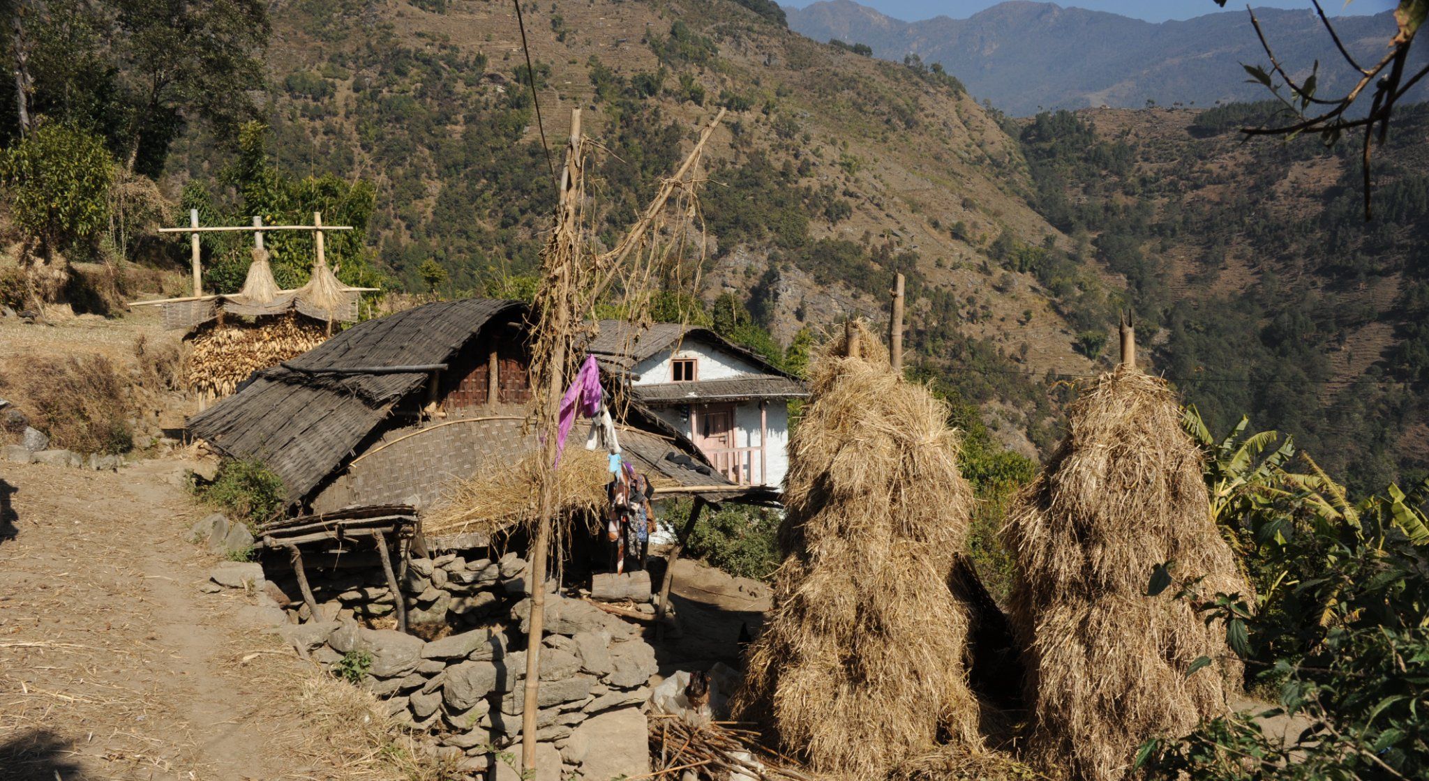 Farm in Bung