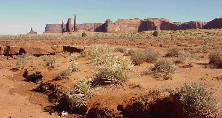 Sandstone Pinnacles in Monument Valley