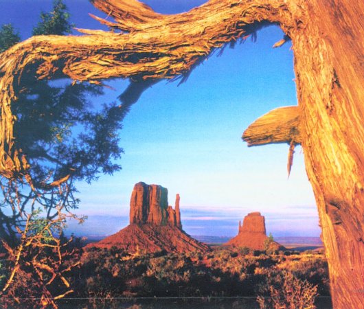 Left-hand and Right-hand Mittens in Monument Valley