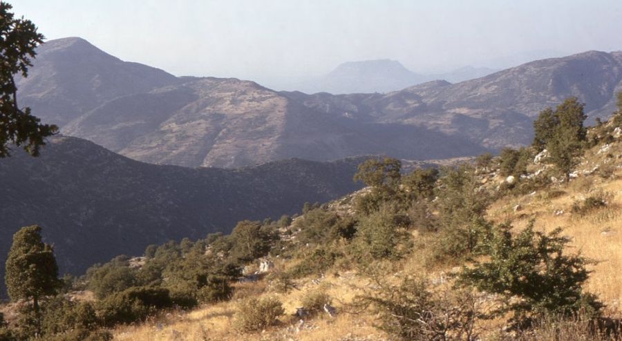 Countryside at Bassae ( Vassae ) in the Peloponnese of Greece