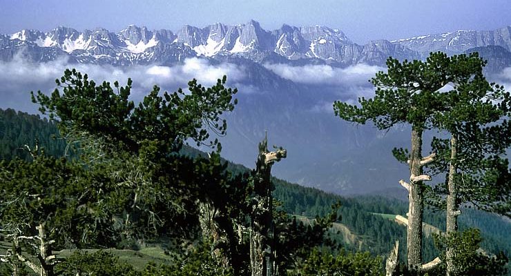 The Pindos ( Pindus ) Mountains in Northern Greece