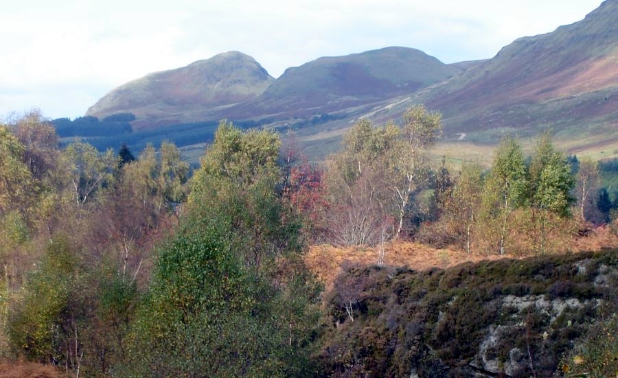 Dumgoyne and Campsie Fells from Ardinning Loch Wildlife Reserve