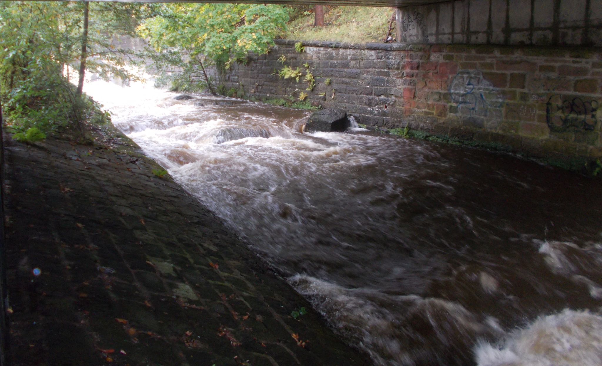 Allander River in Milngavie