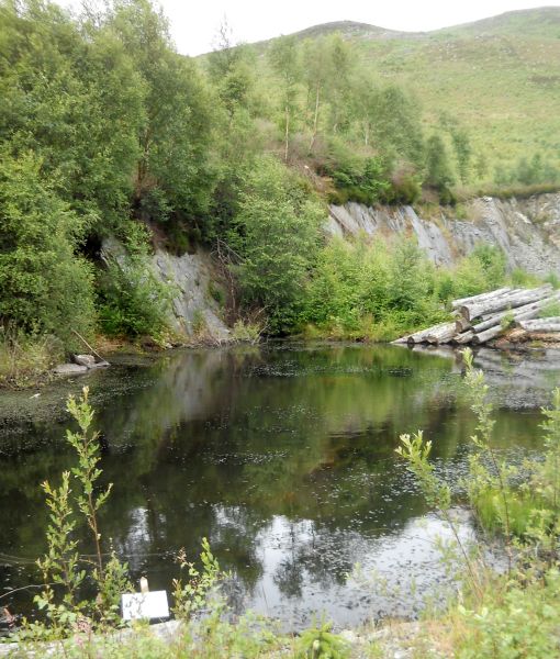 Quarry Lochan in Sallochy Forest