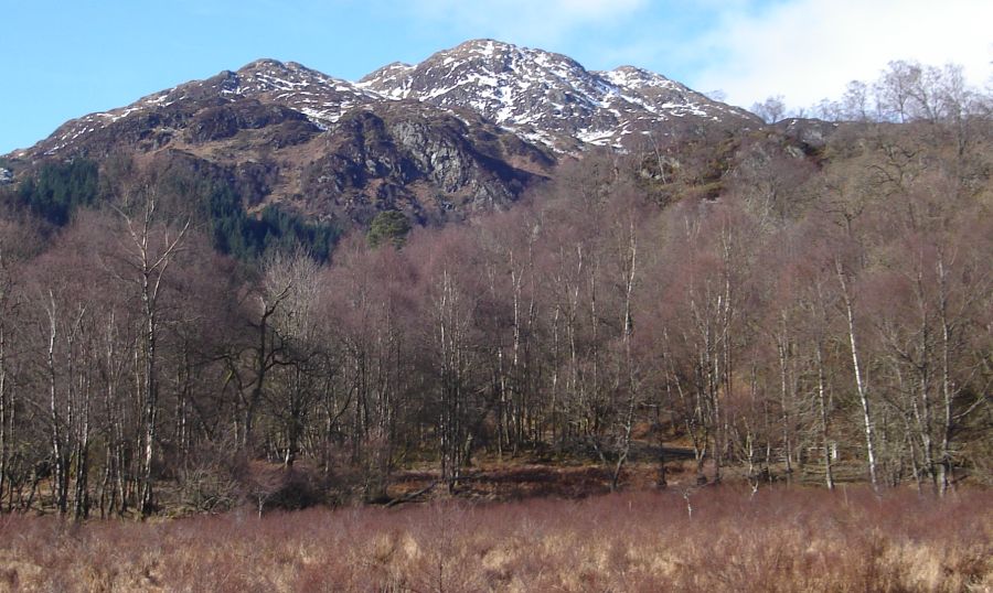 Ben Venue at start of ascent from Loch Achray