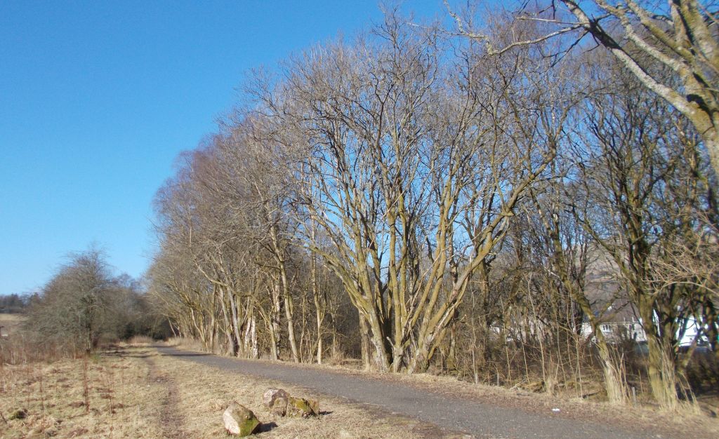 Walkway alongside the Blane Water at Blanefield