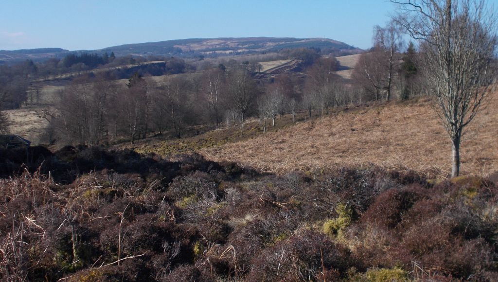 Dumgoyne