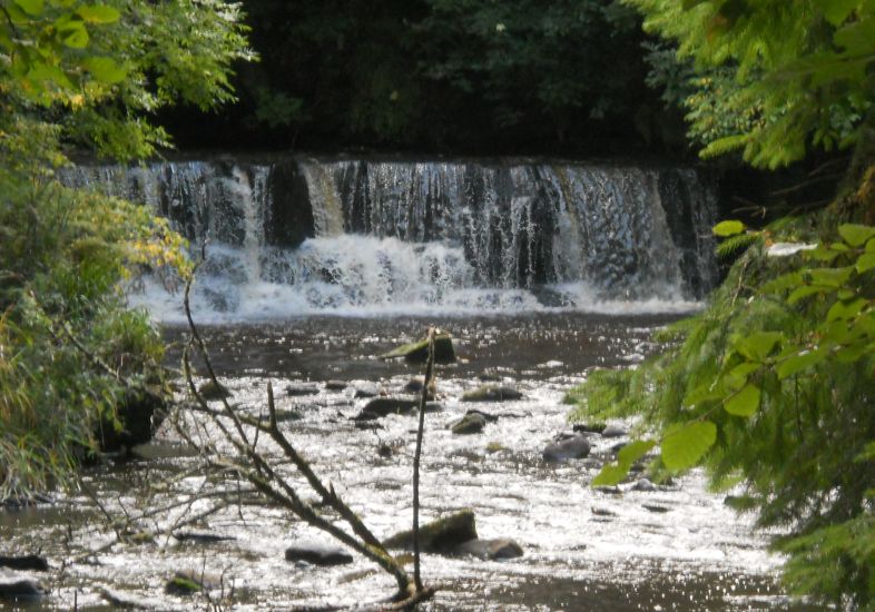 Torrance Linn in the Rotten Calder Water