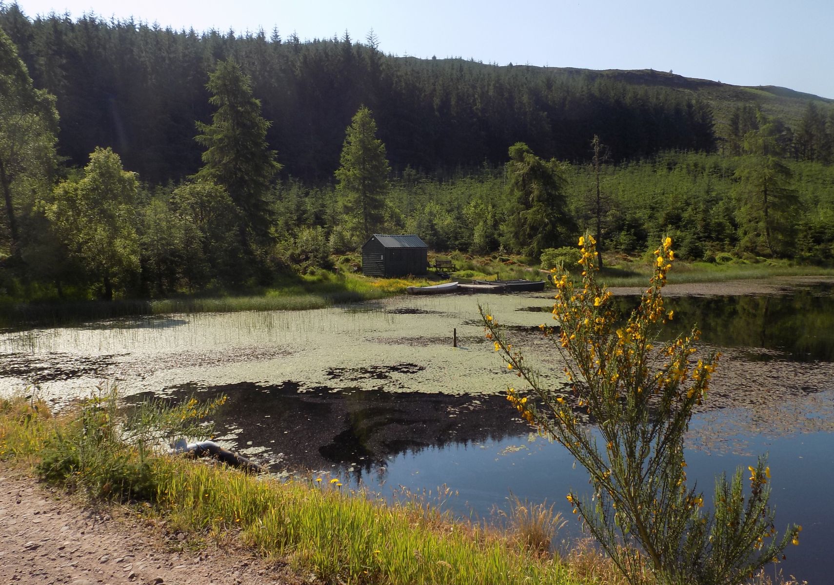 Lochan Allt a'Chip Dhuibh on the Rob Roy Way