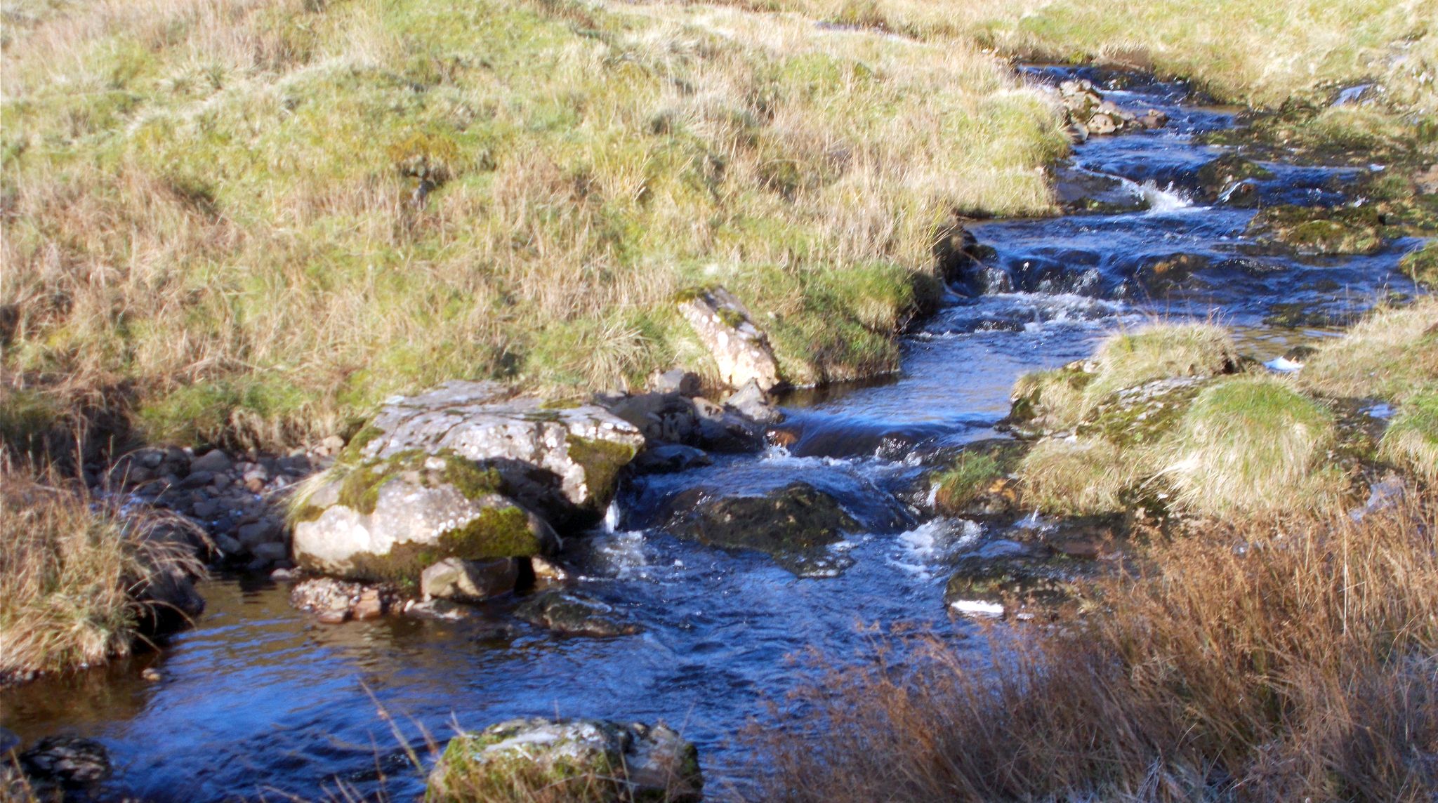 Ballagan Burn above Ballagan Glen in the Campsie Fells