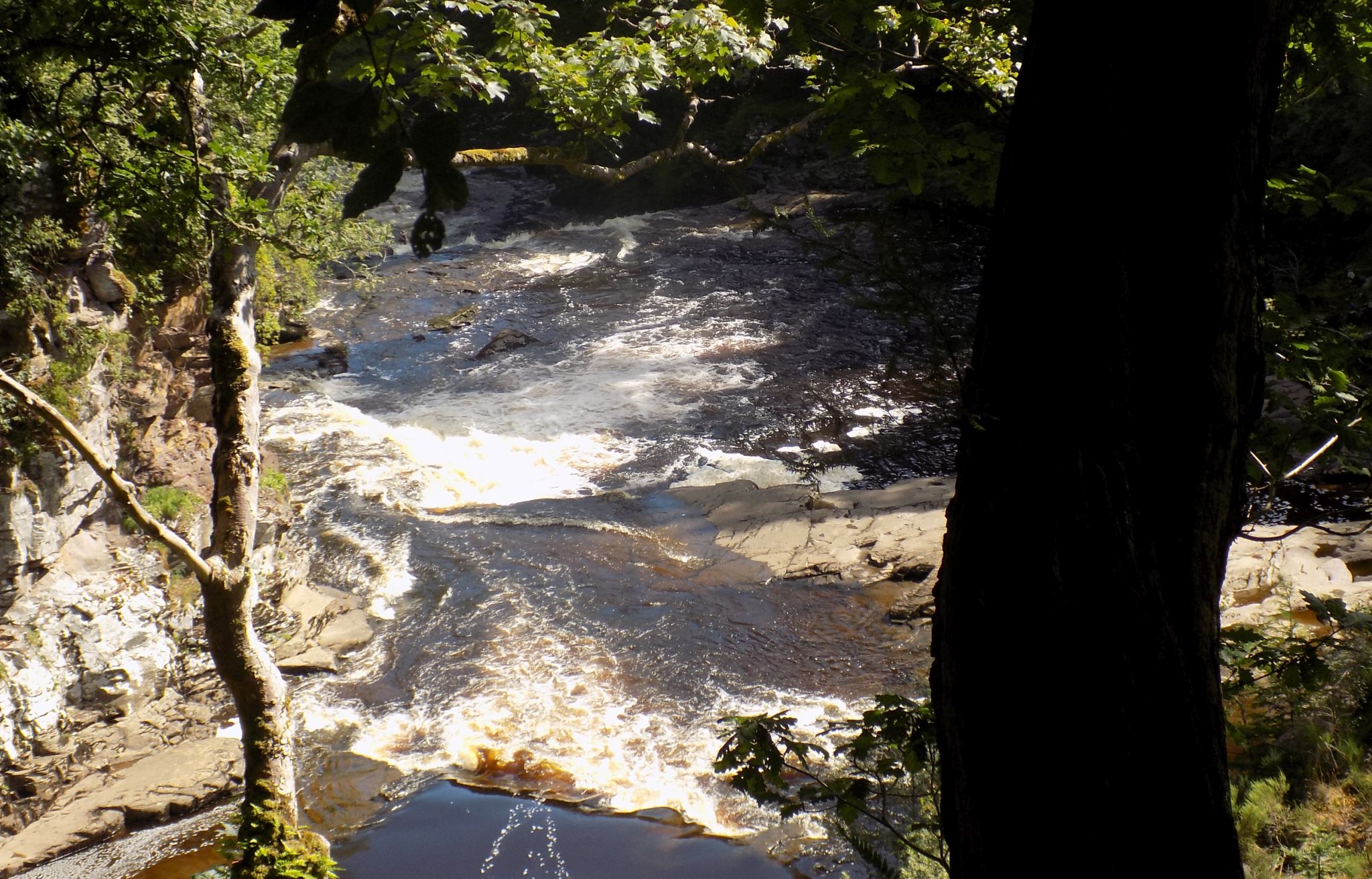 Above Corra Linn on The Falls of Clyde