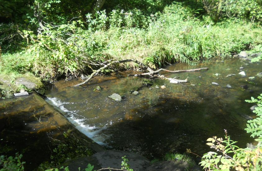 Stream through Cumbernauld Glen