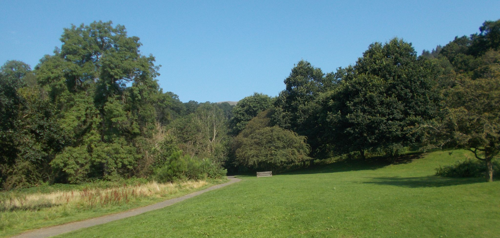 Start of path up through the gorge of Dollar Glen