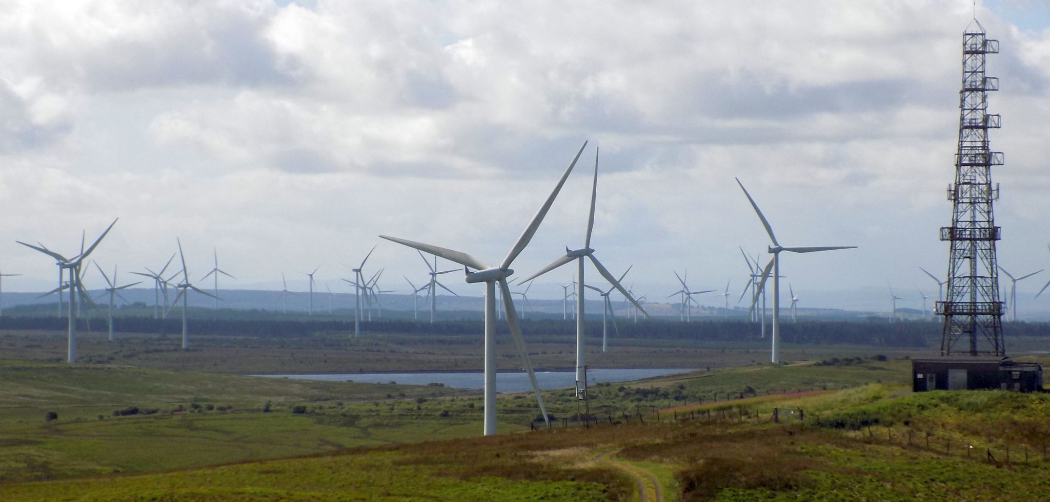 Turbines at  Whitelee Windfarm