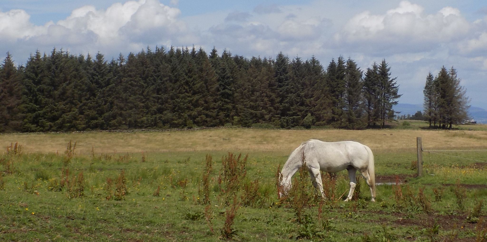 Outskirts of Eaglesham