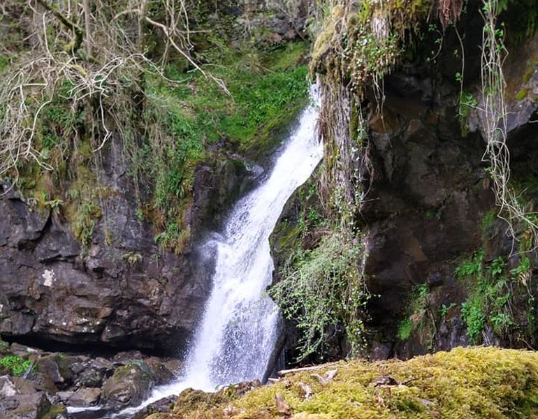 White Spout Waterfall on Finglen Burn in Campsie Glen