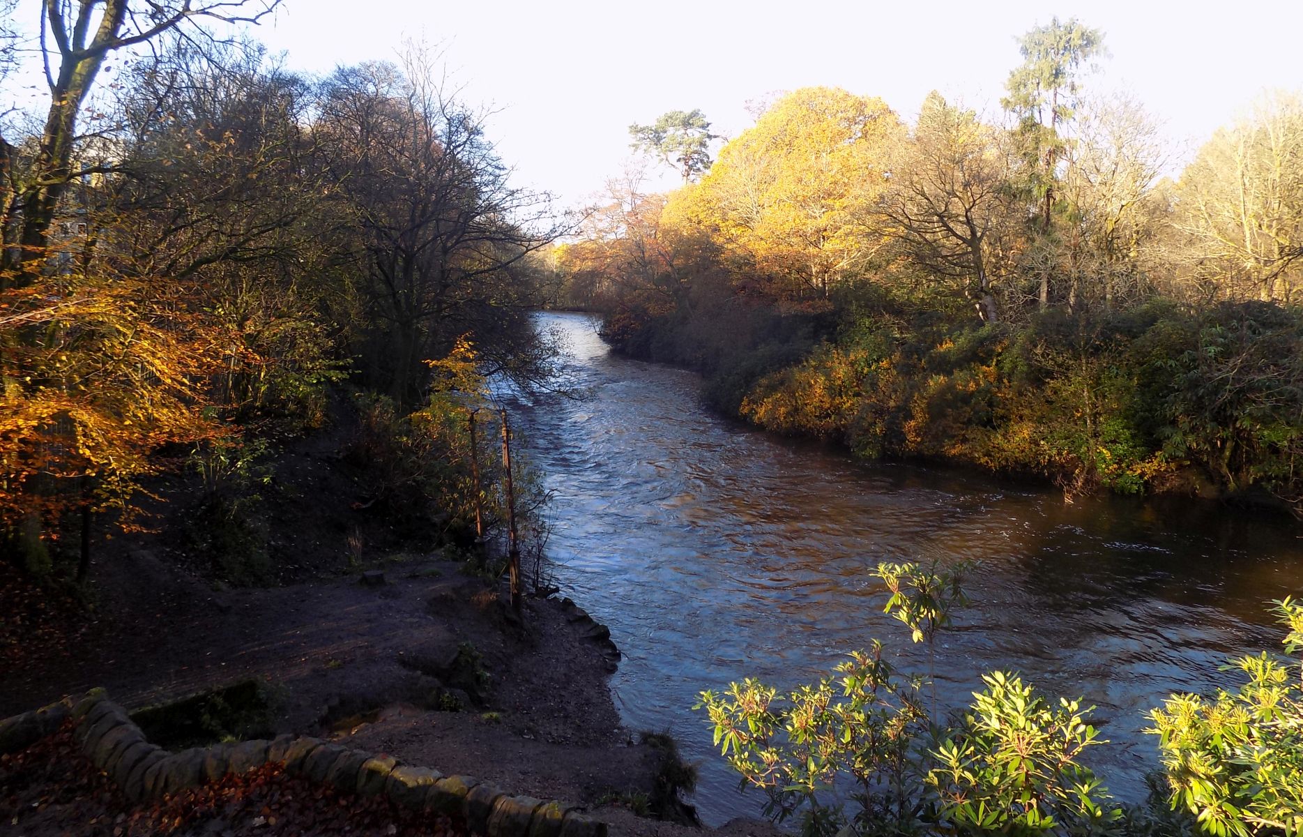 Kelvin River in Dawsholm Park