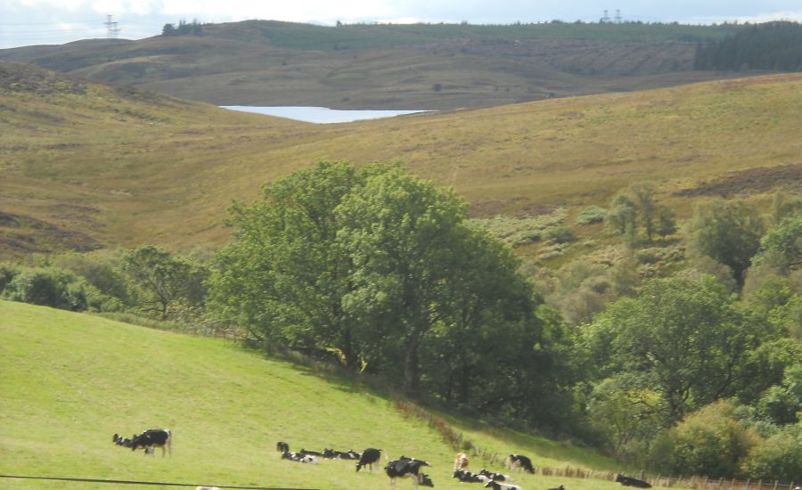 The Daff Reservoir from the Greenock Cut