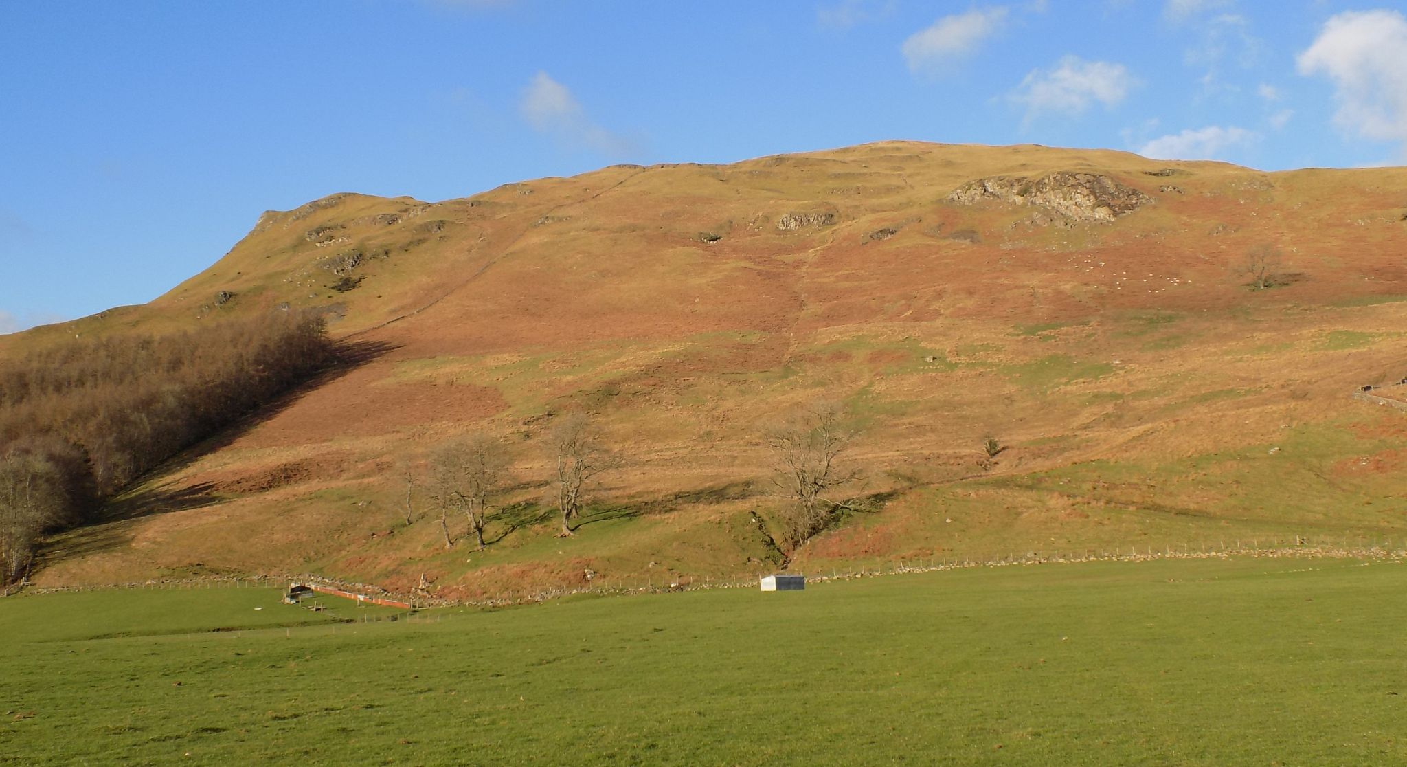 Ascent route from Broadgate Farm to the escarpment of the Campsie Fells