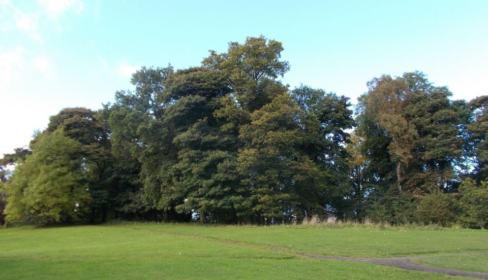 Woodlands at Kilmardinny Loch in Bearsden