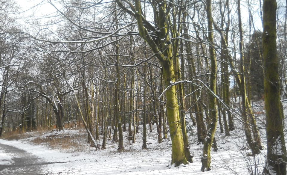 Kilmardinny Loch in winter