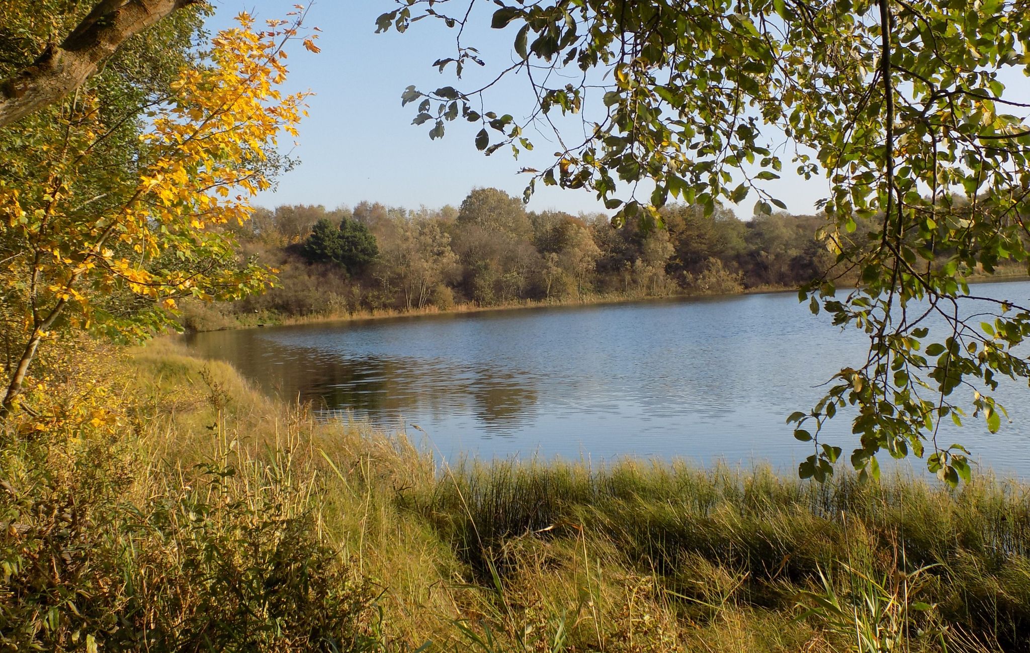 Loch in Eglinton Country Park