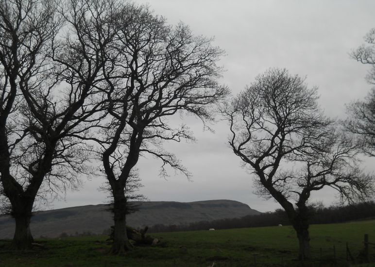 Fintry Hills from Dasher Farm