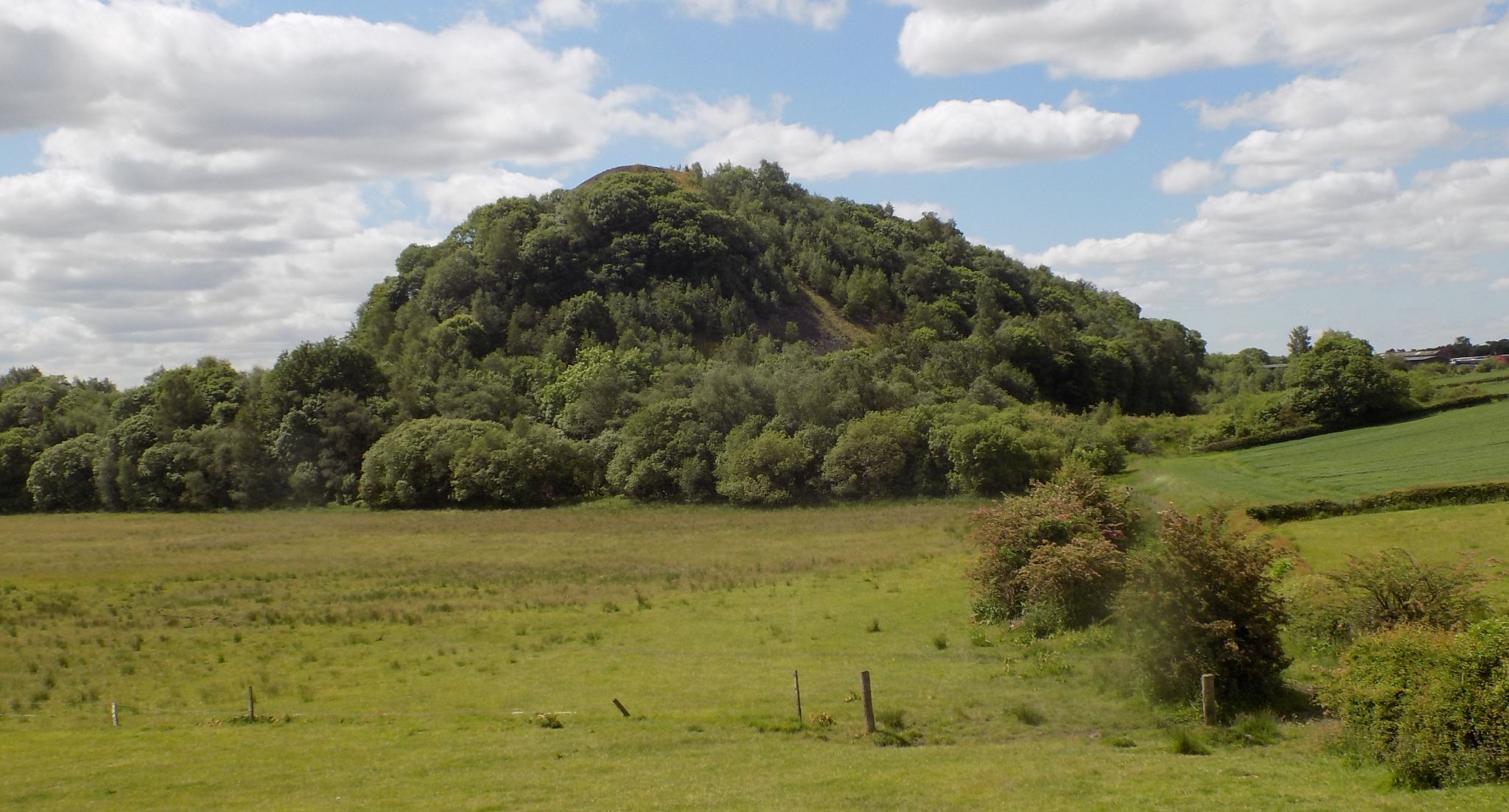 The Gartshore Bing at Kirkintilloch