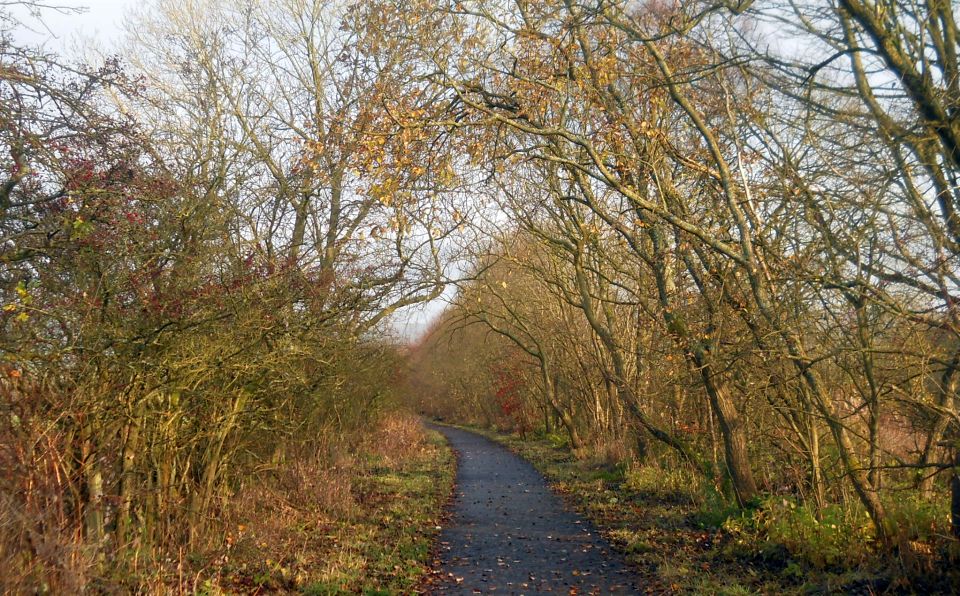 Forth and Clyde Canal from Kirkintilloch to Kilsyth