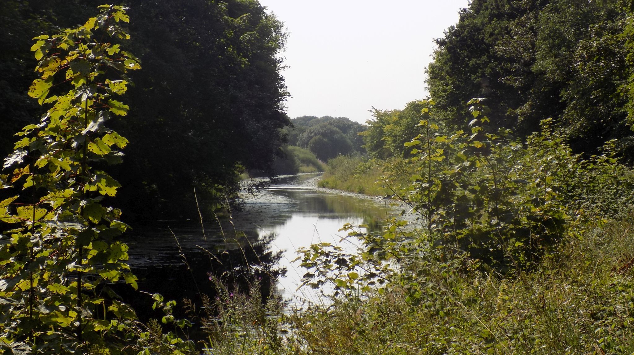 The Forth & Clyde Canal from Cadder to Lambhill