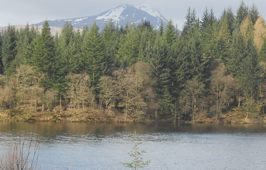 Ben Lomond from Loch Ard