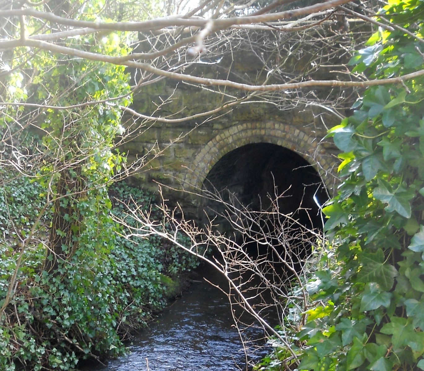 Manse Burn at Manse Road in Bearsden