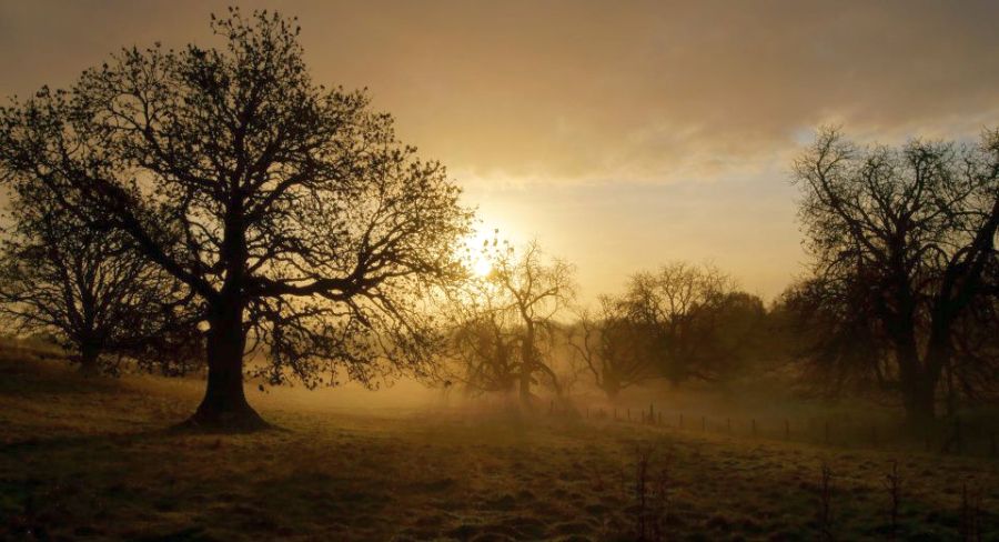 Winter sun in Mugdock Country Park