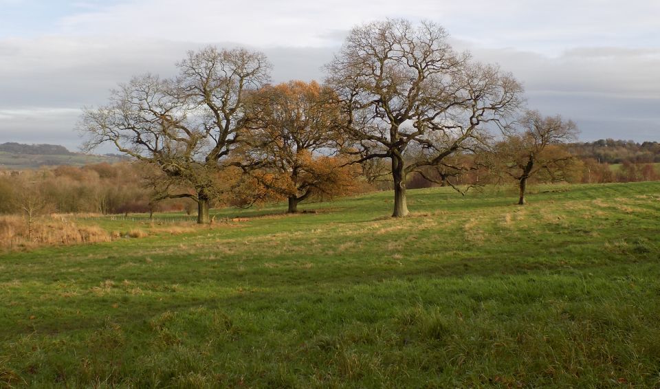 Muiravonside Country Park