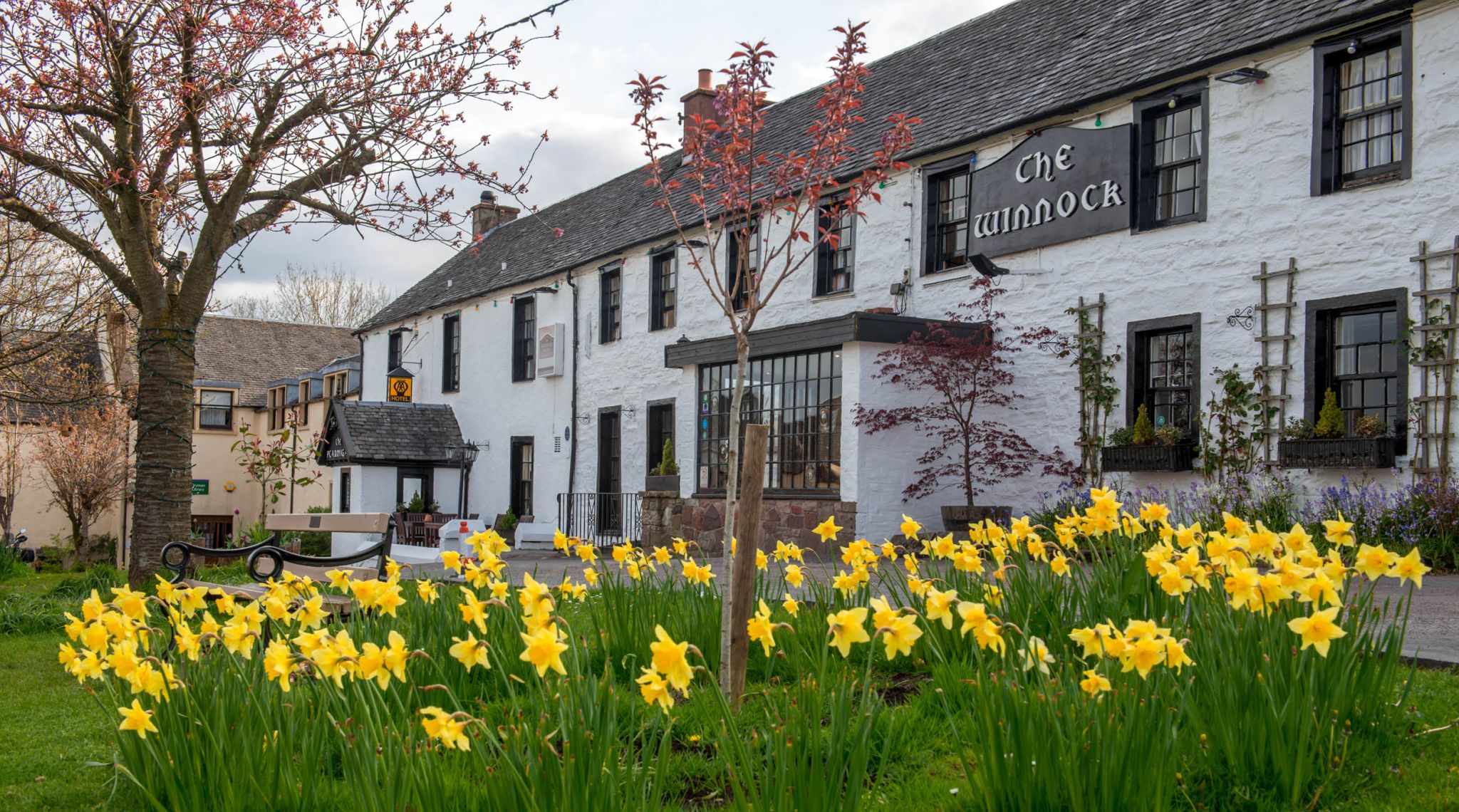 The Winnock in the village square of Drymen