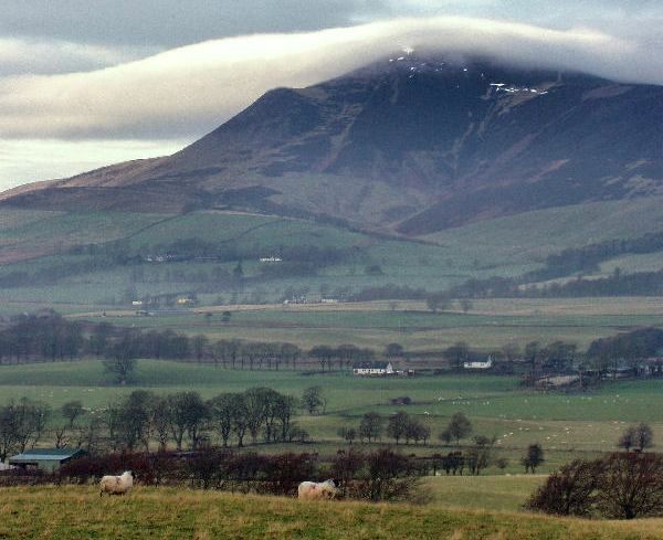 Tinto Hill