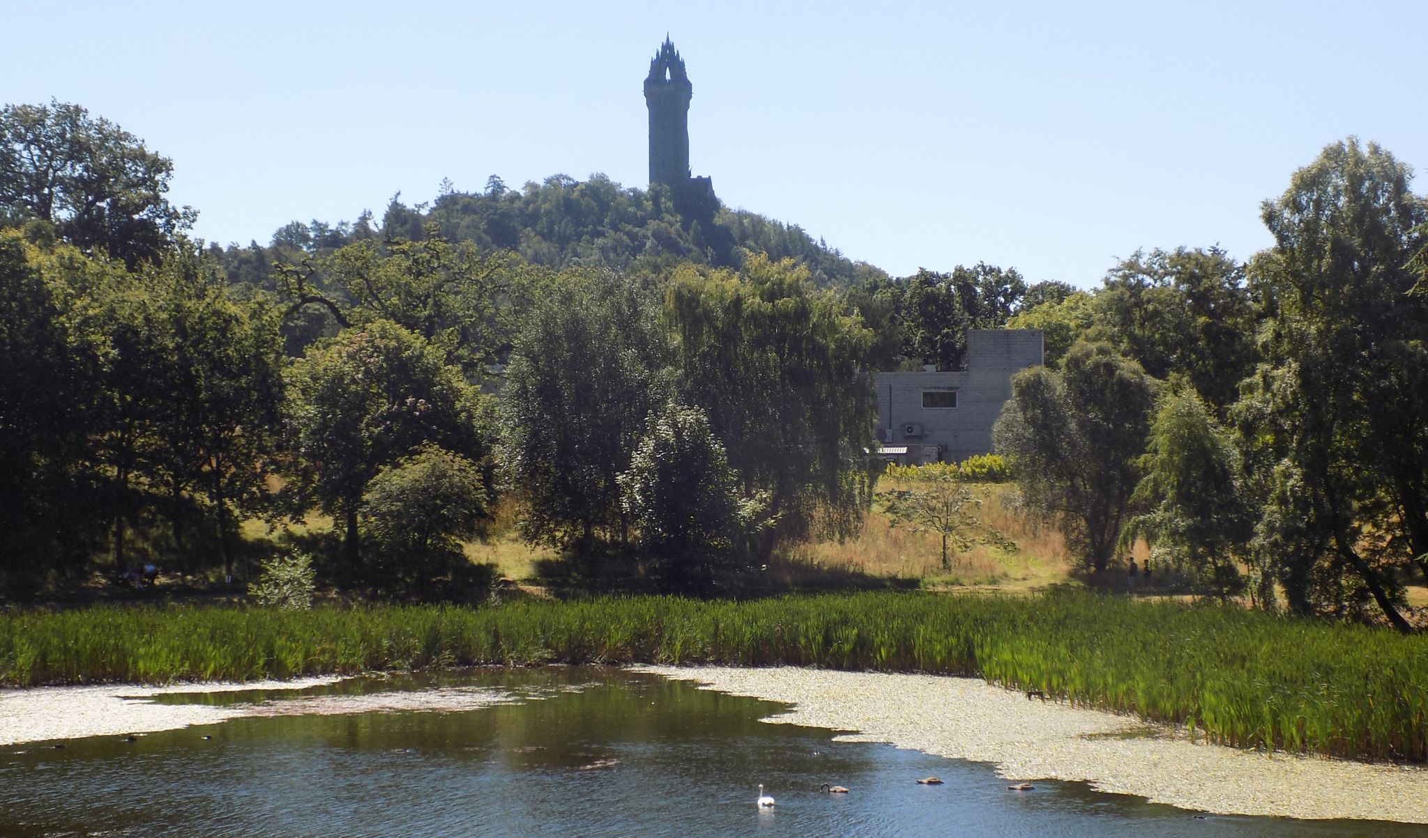 Wallace Monument above Stirling University