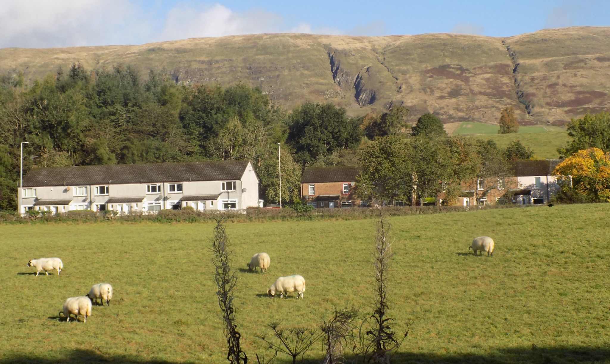 View from the Thomas Muir Trail from Lennoxtown to Milton of Campsie