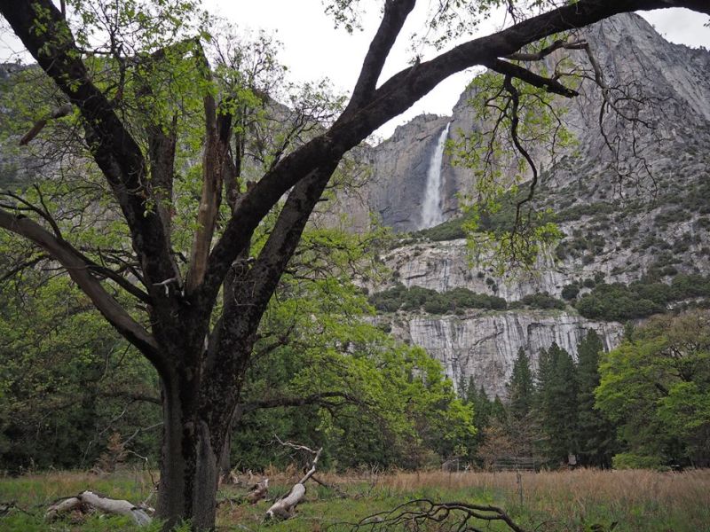 Yosemite Falls in Yosemite Valley, California, USA